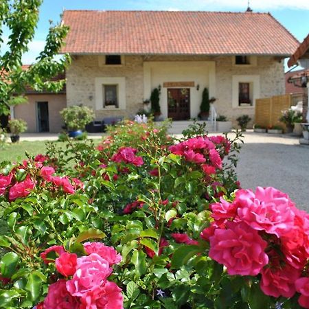La Besace Bed & Breakfast Sainte-Croix  Exterior foto