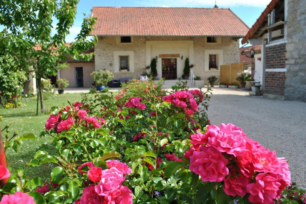 La Besace Bed & Breakfast Sainte-Croix  Exterior foto